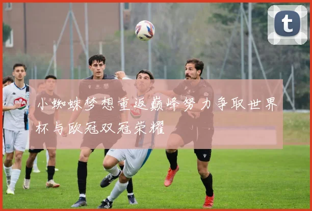 小蜘蛛梦想重返巅峰努力争取世界杯与欧冠双冠荣耀