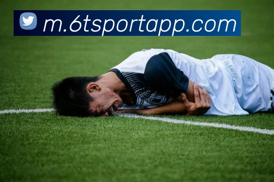 6t体育发展历程