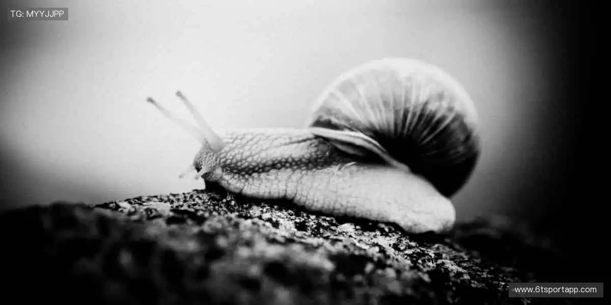 🎁 装备你的热爱,从这里开始!👟